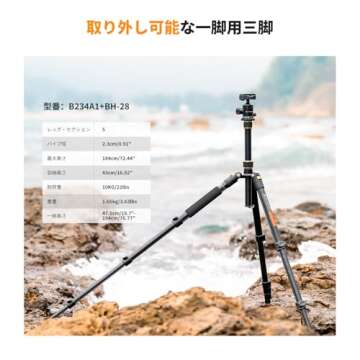 K&F Concept 64''/162cm DSLR Tripod,Lightweight and Compact Aluminum Camera Tripod with 360 Panorama Ball Head Quick Release Plate for Travel and Work B234A1+BH-28 (TM2324)