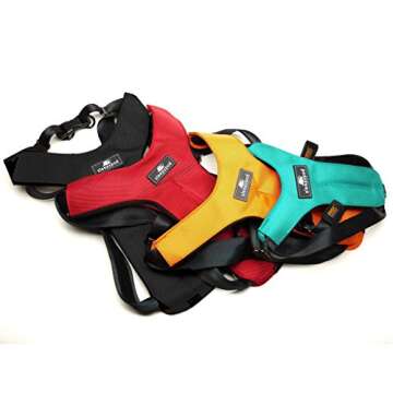 Sleepypod ClickIt Sport Crash-Tested Car Safety Dog Harness (Small, Orange Dream)