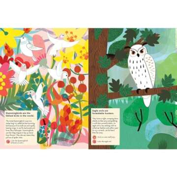 Birds of the World: My Nature Sticker Activity Book