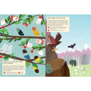 Birds of the World: My Nature Sticker Activity Book