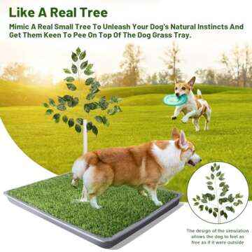 Grass Pee Pad for Dogs - Large 2 Pack 26"x26"