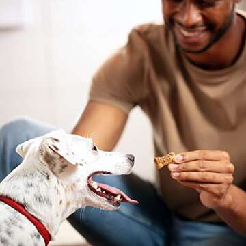 Milk-Bone Flavor Snacks Mini Dog Biscuits, Flavored Crunchy Dog Treats, 36 Ounce Container