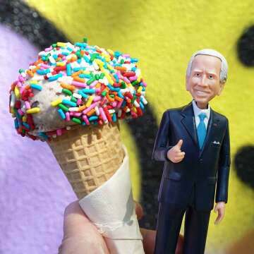 Joe Biden Action Figure - Collector's Edition Figurine