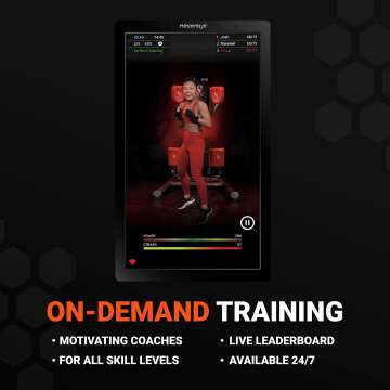 Nexersys N3 Boxing Trainer