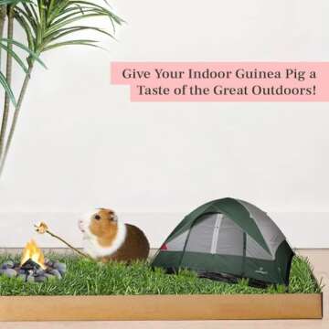 Guinea Pig Lawn Fresh Grass Lounging Mat - Perfect for Lounging Indoor/Outdoor - Multi-Use, Natural and Disposable (Grande 24x9)