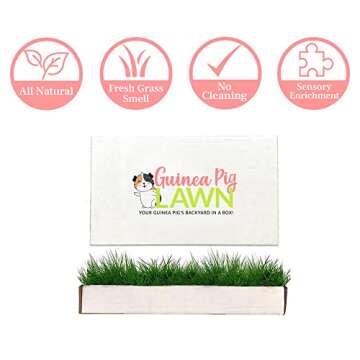 Guinea Pig Lawn Fresh Grass Lounging Mat - Perfect for Lounging Indoor/Outdoor - Multi-Use, Natural and Disposable (Grande 24x9)