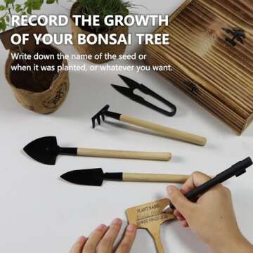 Indoor Bonsai Tree Kit with Tools & Seeds - Plant Lover Gift