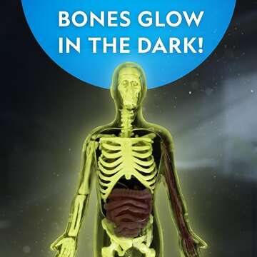 NATIONAL GEOGRAPHIC Glow in The Dark Human Body - Human Body Model for Kids with 28 Removable Bones & Organs, Educational Science Kit, Interactive Anatomy Toys for Boys & Girls