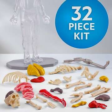 NATIONAL GEOGRAPHIC Glow in The Dark Human Body - Human Body Model for Kids with 28 Removable Bones & Organs, Educational Science Kit, Interactive Anatomy Toys for Boys & Girls