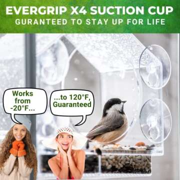 Nature Anywhere Transparent Acrylic Window Bird Feeders for Outdoors - Enhanced Suction Grip, Bird Watching for Cats, Easy-to-Clean, Outdoor Birdhouse Feeder