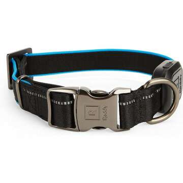 Reddy LED Dog Collar