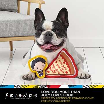 Friends the TV Show WB Friends: V-Day Love Food Canvas Squeaker Pet Toy - 2PC | Friends Joey & Pizza Dog Toy 2PC Canvas Squeakers| Friends “Better Together“ Toy for Dogs Stuffed Characters