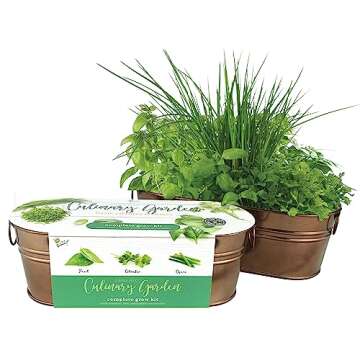 BUZZY Organic Windowsill Grow Kit, Copper Culinary Garden: Basil, Cilantro, and Chives, Best Gardening Gifts, Parties, Unique, Growth Guaranteed, Herb Starter Kit, Seed Kit, Grow Your Own Herbs