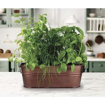 BUZZY Organic Windowsill Grow Kit, Copper Culinary Garden: Basil, Cilantro, and Chives, Best Gardening Gifts, Parties, Unique, Growth Guaranteed, Herb Starter Kit, Seed Kit, Grow Your Own Herbs