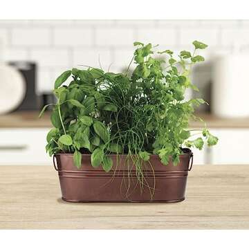 BUZZY Organic Windowsill Grow Kit, Copper Culinary Garden: Basil, Cilantro, and Chives, Best Gardening Gifts, Parties, Unique, Growth Guaranteed, Herb Starter Kit, Seed Kit, Grow Your Own Herbs