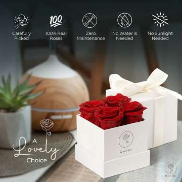 Get Forever Roses Delivered - 4 Preserved Red Roses