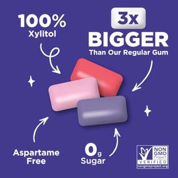 Aspartame Free PUR Jumbo Chewing Gum 20 Pieces