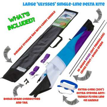 Best Delta Kite