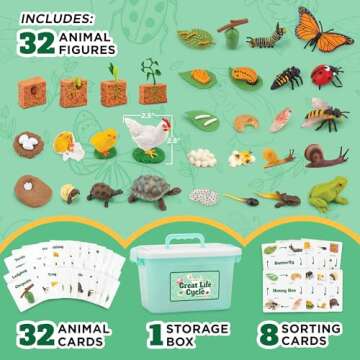 Life Cycle Science Kit Montessori Realistic Figurine, Kids Animal Matching Game with Frog, Ladybug and More Includes 32-Piece, Fun Learning Education Toys Stocking Stuffers for Children 3 4 5 6 7 8