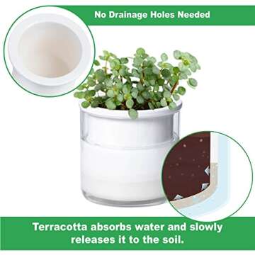 Phoenix Vine 4 Inch Self Watering Planter Pot, Design White Terracotta Pots for Plants, Indoor Cylinder Terra Cotta Pots with Glass Vase, Set of 1, 51-B-E-1