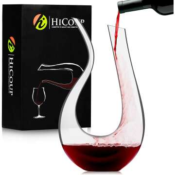 HiCoup Red Wine Decanter