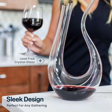 HiCoup Red Wine Decanter