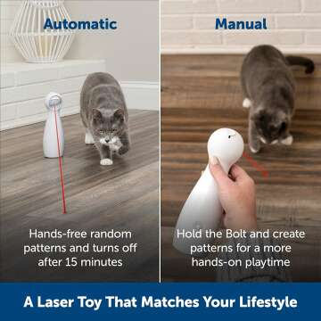 PetSafe Laser Cat Toy