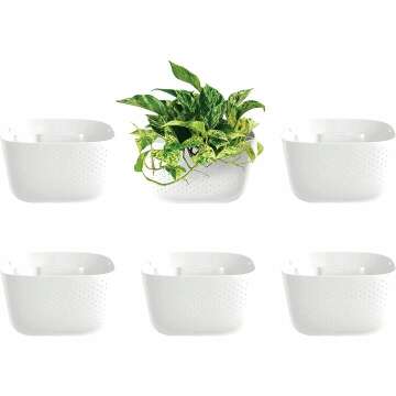 WallyGrow Eco Wall Planter, Create a Plant Wall with Hanging Planters for Indoor or Outdoor Use (White, 6)