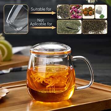 DOPUDO Glass Tea Cup with Infuser and Lid, 17.6oz/520ml Large Borosilicate Teacup, Clear Mug for Loose Leaf Tea, Blooming Tea, Tea Bags - Perfect Christmas or Birthday Gift for Women