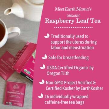 Earth Mama Organic Raspberry Leaf Tea Bags | Labor Tonic & Menstrual Support Herbal Tea, Red Raspberry Leaf Tea for Pregnancy & Postpartum Care Recovery, Caffeine Free Tea, Non GMO, (16-Teabags, 2-Pk)