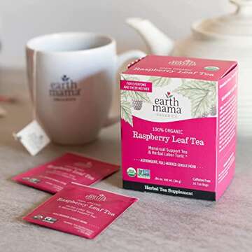 Earth Mama Organic Raspberry Leaf Tea Bags | Labor Tonic & Menstrual Support Herbal Tea, Red Raspberry Leaf Tea for Pregnancy & Postpartum Care Recovery, Caffeine Free Tea, Non GMO, (16-Teabags, 2-Pk)