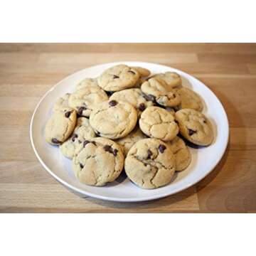 Chocolate Chip Cricket Cookie Mix with Cricket Powder (Cricket Flour)