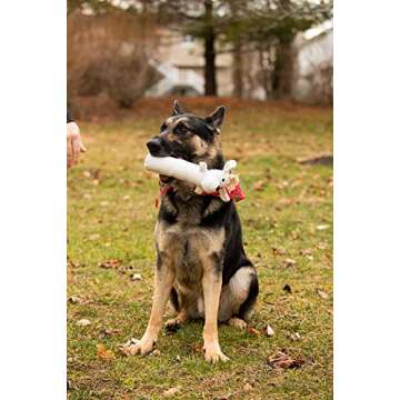 Pata Pal Eco-Friendly Durable Squeaky Dog & Puppy Pet Chew Toy Variety Pack for, Training, Teething and Exercise (Ducky & Dawgy)