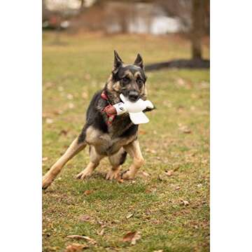 Pata Pal Eco-Friendly Durable Squeaky Dog & Puppy Pet Chew Toy Variety Pack for, Training, Teething and Exercise (Ducky & Dawgy)