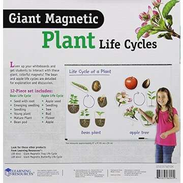 Learning Resources Giant Magnetic Plant Life Cycle - 12 Pieces, Science Exploration Activities for Kids, Homeschool and Classroom Science Supplies