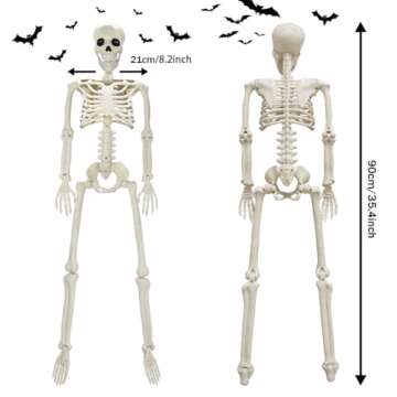 2PACK Plastic Posable Halloween Skeleton Decorations, 3FT Poseable Skeleton Full Body with Movable Joints for Halloween Indoor/Outdoor Haunted Houses, Lawn, Graveyard Decor