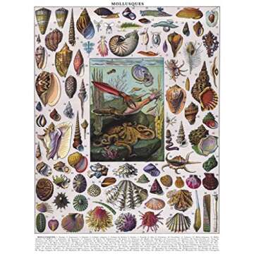 New York Puzzle Company - Vintage Images Mollusks - 1000 Piece Jigsaw Puzzle for Adults by Adolphe Philippe Millot