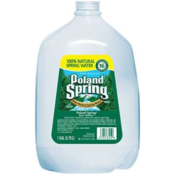 Poland Spring 100% Natural Spring Water (1 gal., 6 pk.)