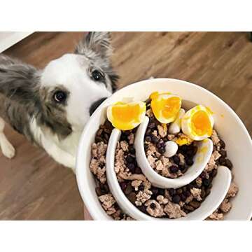 Dog Slow Feeder Bowl Ceramic, 1.5 Cups Puzzle Dog Food Bowl for Small Medium Breed, Puppy Slow Feeder Bowl for Fast Eater, Dog Bowls to Slow Down Eating, Maze Bowl, Pet Bowl，White