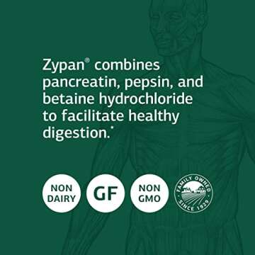 Standard Process Zypan - Digestive Health Support Supplement - HCI Supplement with Pancreatin, Betaine Hydrochloride & Pepsin - Support Macronutrient Digestion - 330 Tablets