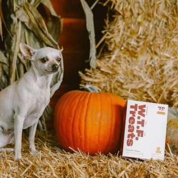 OH NORMAN! Single Ingredient Pumpkin Dog Treats by Kaley Cuoco, Healthy Dog Treats for All Life Stages and Breeds, Air Dried, Ethically Sourced in Canada, 6 Oz