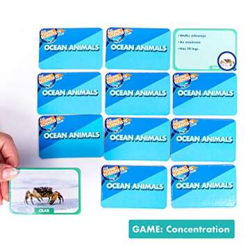 The Young Scientist Ocean Animal Card Games, 4 Card Games in 1, Matching, Bingo, Memory, Trivia, Hands-On Educational STEM Fun for Age 5 and Up, Kids Card Games