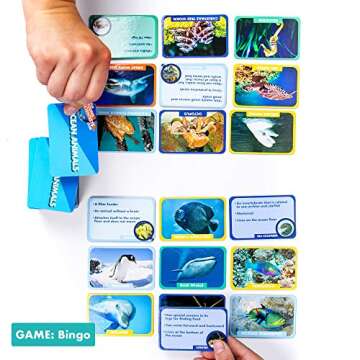 The Young Scientist Ocean Animal Card Games, 4 Card Games in 1, Matching, Bingo, Memory, Trivia, Hands-On Educational STEM Fun for Age 5 and Up, Kids Card Games