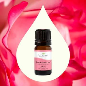 Plant Therapy Rose Absolute Essential Oil 100% Pure, Undiluted, Natural Aromatherapy, Therapeutic Grade 5 mL (1/6 oz)