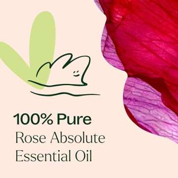 Plant Therapy Rose Absolute Essential Oil 100% Pure, Undiluted, Natural Aromatherapy, Therapeutic Grade 5 mL (1/6 oz)