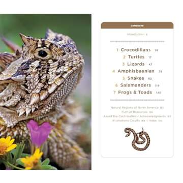 National Geographic Pocket Guide to Reptiles and Amphibians of North America