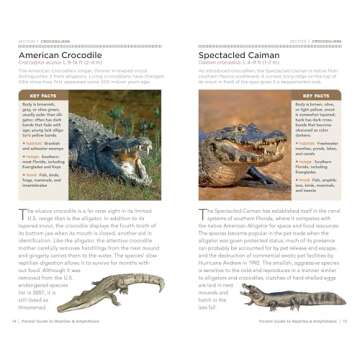 National Geographic Pocket Guide to Reptiles and Amphibians of North America