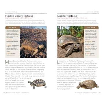 National Geographic Pocket Guide to Reptiles and Amphibians of North America