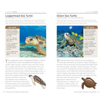 National Geographic Pocket Guide to Reptiles and Amphibians of North America