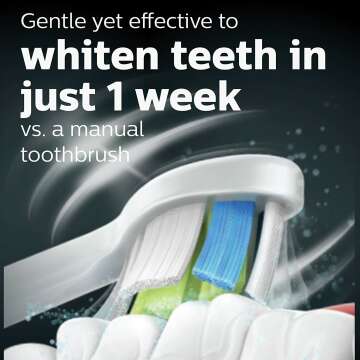 Whitening Power Toothbrush